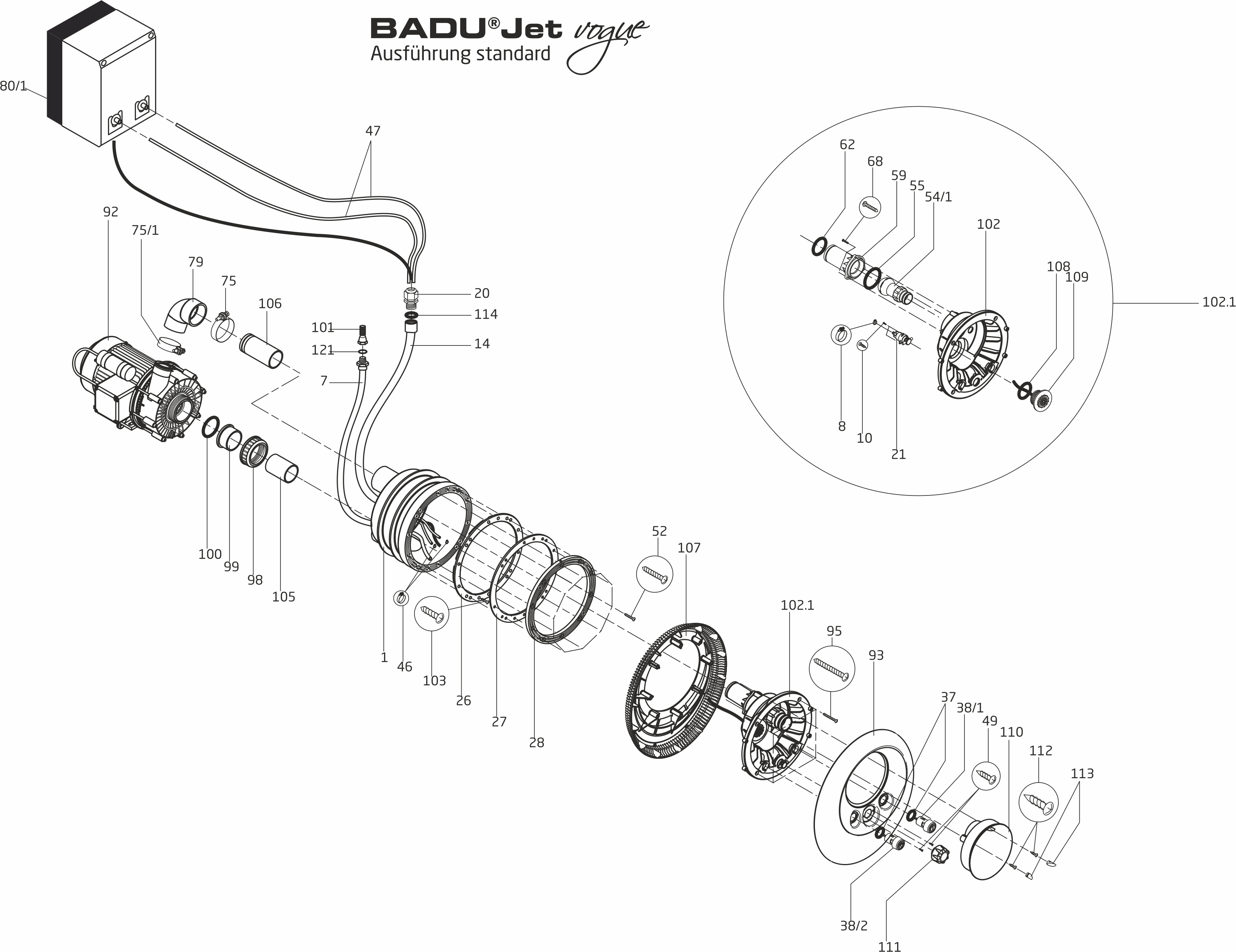 BADU Jet Vogue counterflow pump