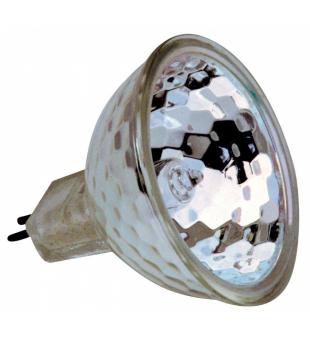 Halogenov lampa HRFG 50 W/12 V  s elnm sklem 50 mm