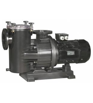 Pumpa Magnus 300