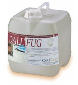 Dall fug, 5 l  outdoor pavement protection against water, micro-organism and pollution