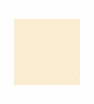 Aquastone Anti-Rutsch - Sand; 1,65m, 1,8mm - rolle 21m