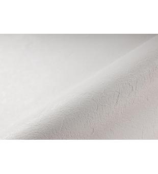ALKORPLAN 2K Anti-Slip - White; 1,65m wide, 1,8mm thick, in metres